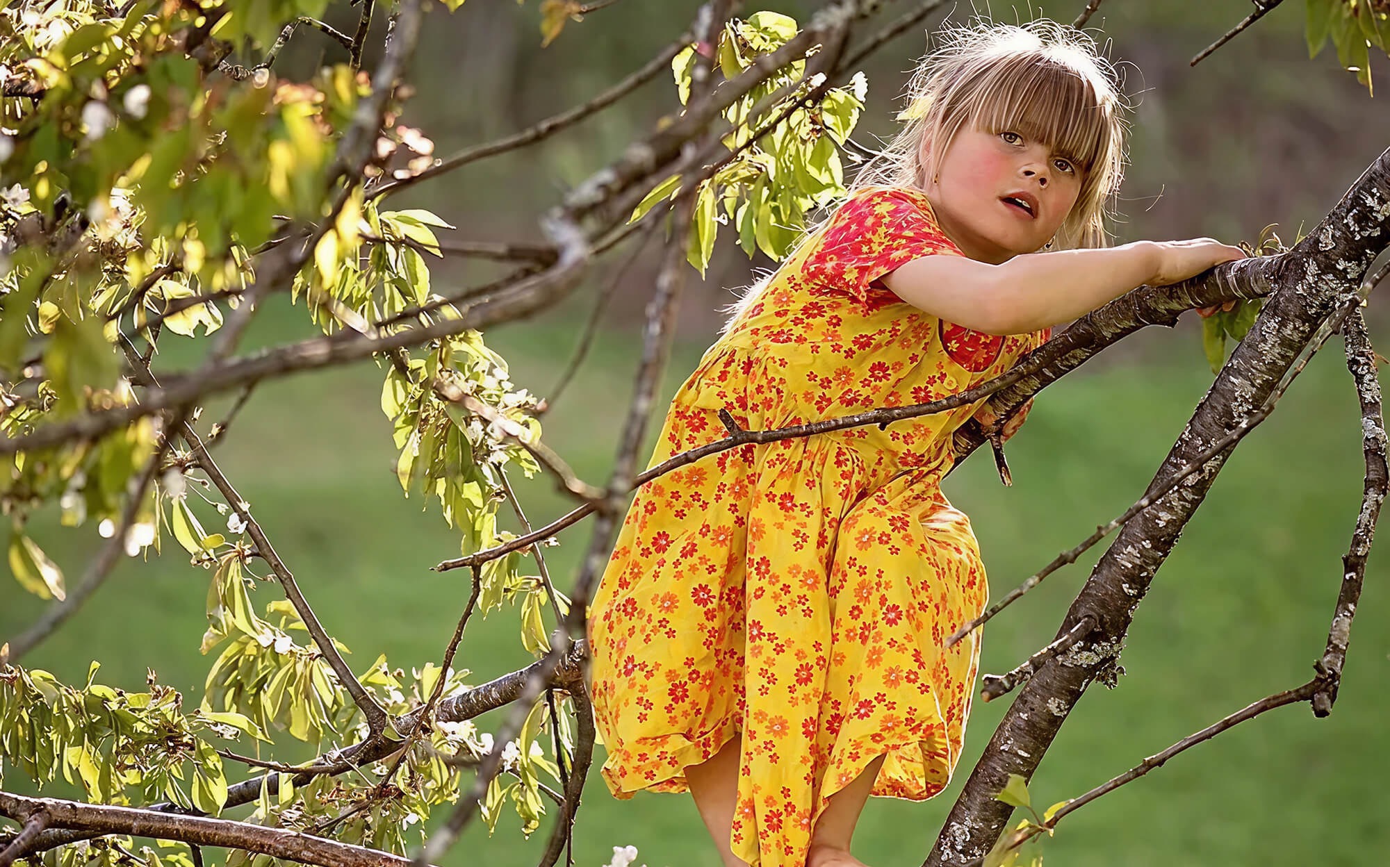 Treisprezece moduri de a readuce jocul liber, propuse de psihologul și expertul în joc Peter Gray